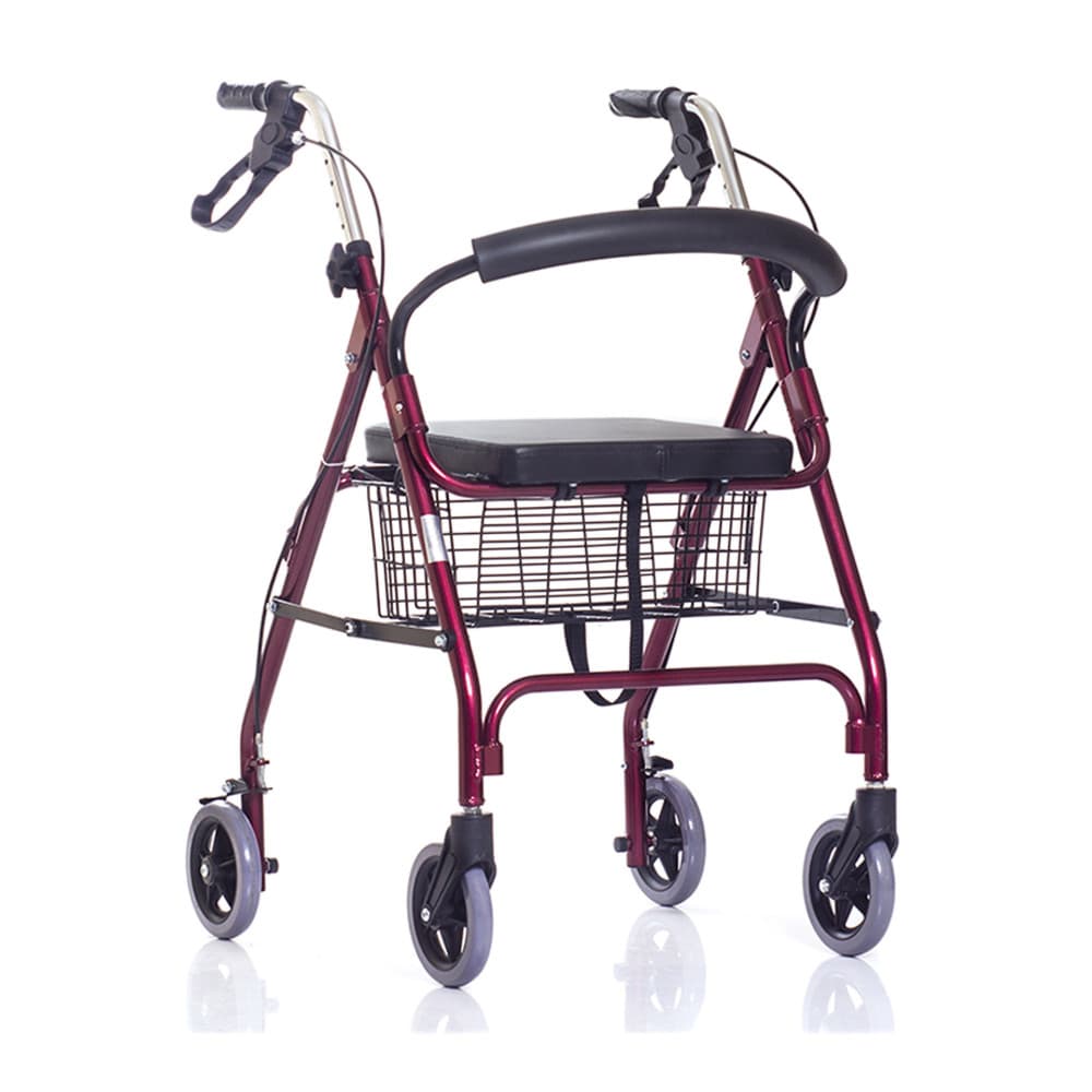 ORTONICA XR102 — аренда в Санкт-Петербург